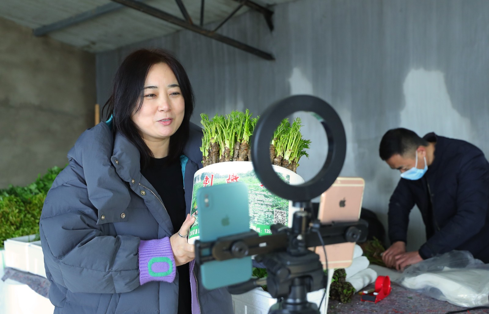 央媒看沈阳丨辽宁新民：刺嫩芽成了“致富芽”_沈阳新闻_新闻中心_.jpg